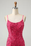 Sparkly Fuchsia Bodycon Spaghetti Straps Sequin Short Homecoming Dress with Tassels
